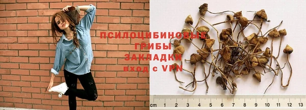 скорость Коряжма