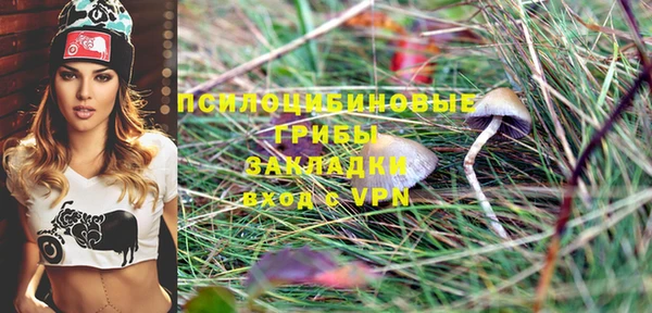 амф Краснотурьинск