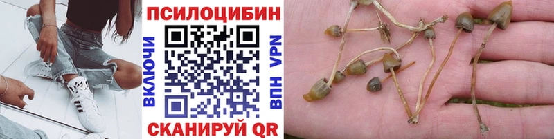 сколько стоит  Арзамас  Галлюциногенные грибы мицелий 