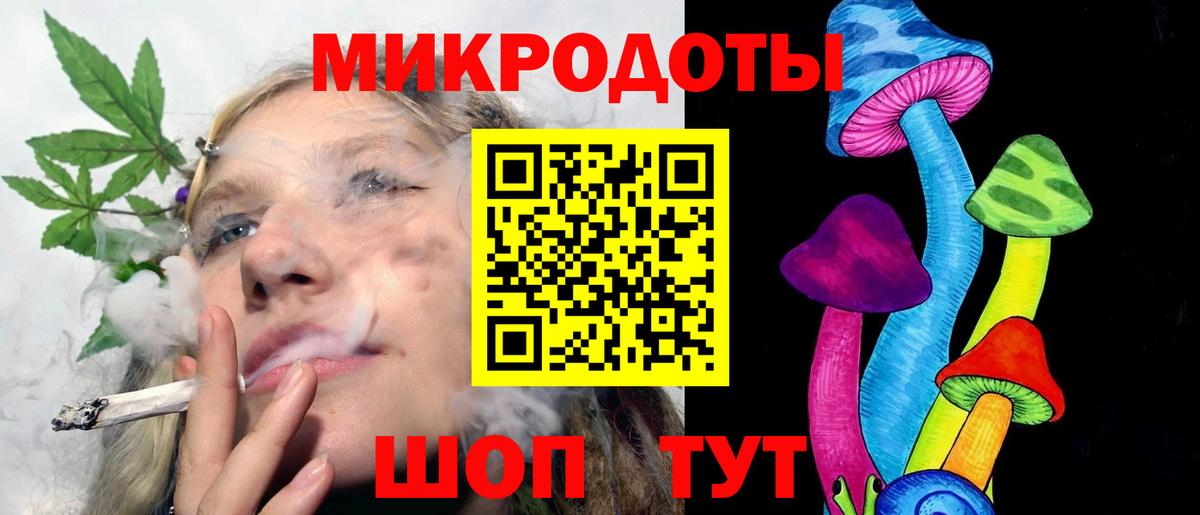 Псилоцибиновые грибы Psilocybe Арзамас