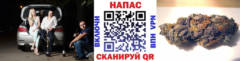 Канабис тримм  KRAKEN зеркало  Арзамас 